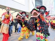 就在今天！来华强北赏花灯，更有舞狮表演、免费春联等你来