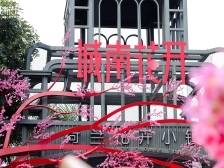 “城南花开”花市开市！属于南山的年味“so cool”