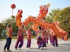 到江海过大年，春节假期江门龙狮表演好戏连台