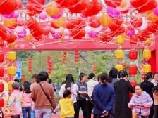 深圳花市全面开启，前海深铁花市年味浓