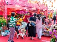 为期7天！光明区迎春花市来了