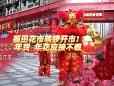 视频｜福田花市鸣锣开市！年货年花精彩纷呈