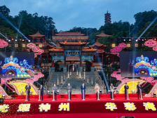 2025年粤港澳大湾区灯会震撼亮灯！