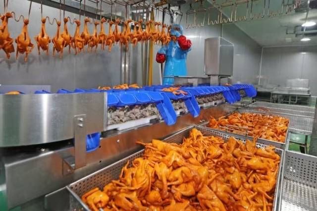 兴宁鸽产业链不断延长。