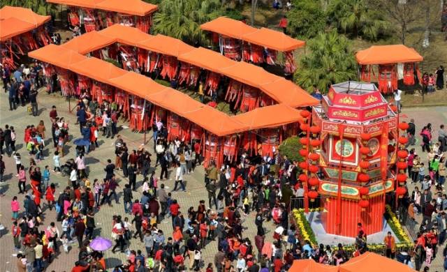 河源连平县忠信镇：灯舞乡韵“千亩方”，校地携手立事业