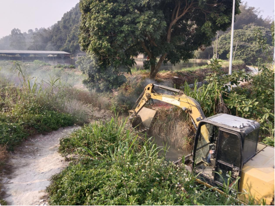 蚁田村委秀峎村水陂桥面改造提升工程正式动工。