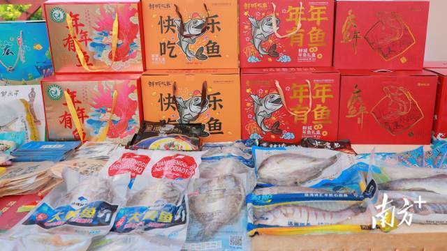 新春热销的珠海年鱼系列产品