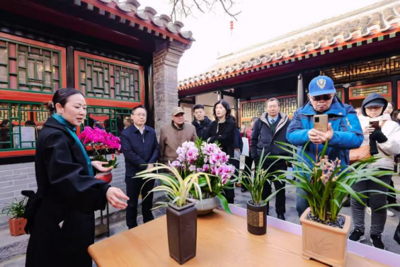 市民游客仔细倾听关于翁源兰花的介绍。