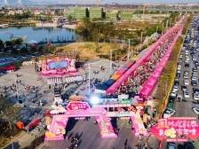 顺·势｜推动文旅品牌硬核出圈，大良打头阵！