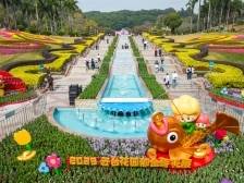 12万株郁金香盛放，2025云台花园郁金香花展来了！