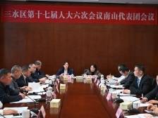 李军勉励南山：做实“湾区香格里拉”，以新业态吸引年轻人｜三水两会