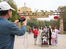 万人清远长隆“遇见非洲”，春节汽车大奖等你抢