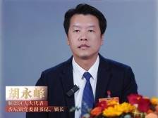 胡永峰：做深做实做大水乡文化版图｜顺德两会