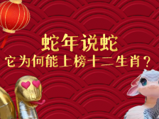 蛇年说蛇，它为何能上榜十二生肖？｜有点艺思
