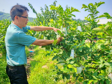 驻镇第四年，“老布”有了新身份 | 驻在千镇万村⑤