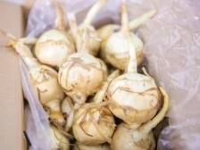 韶关武江“茨”等美味，不可“菇”负