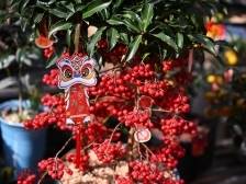 如果你要写东莞的“年”……｜莞有料