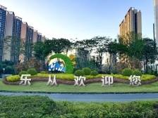 陈子荣：致力打造新佛山蓬勃发展的城市标杆｜顺德两会