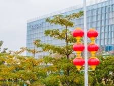 一键切换“过年模式”！滨海湾年味“氛围组”已就位