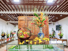 展出规模达历届之最！来广州兰圃欣赏不落幕的兰园花市