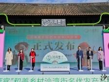 “沙湾墨兰”新IP好靓！沙湾街名优农产品推广节过年邀你来