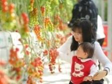 大年初一正式开业，深圳大鹏春节游玩好去处+1