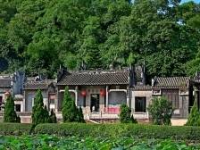 种下“致富兰”，振兴文化村，广州沙湾推进“五好两宜”和美乡村建设