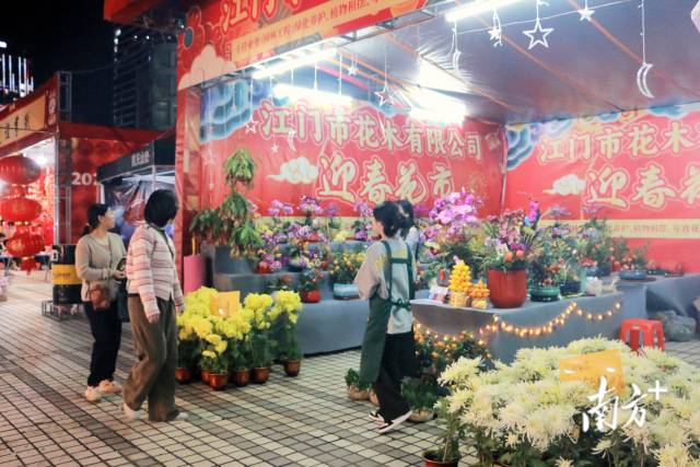 图集｜逛花街、买年货，江门五邑华侨广场年味浓