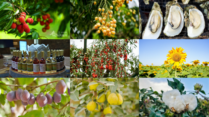 丰收中国万里行一路前行，足迹遍布广东、宁夏等5个省份的17个地区，推介各地特色农业产业