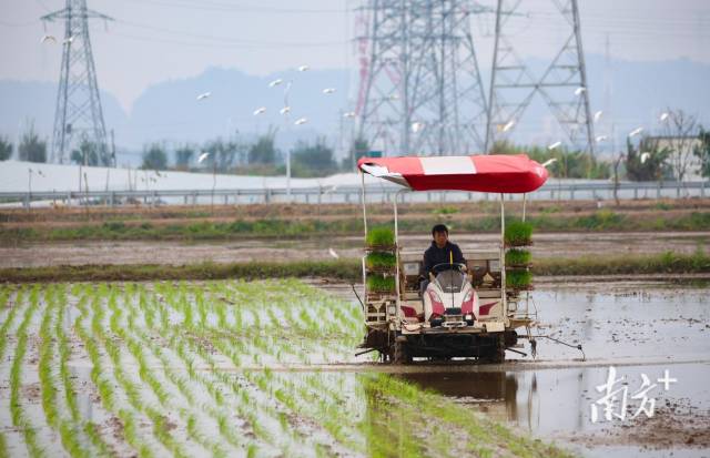 防止有害生物傳入 海關(guān)總署從即日起暫停進口美國原木
