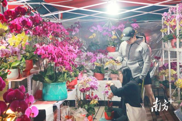 图集｜逛花街、买年货，江门五邑华侨广场年味浓