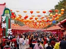 双语vlog |“歪果仁”眼里的迎春花市长啥样？跨文化碰撞“趣多多”