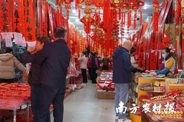 肇庆市鼎湖区迎春花市启市，市民忙着挑选新春年货。