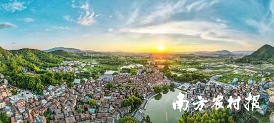 高要区莲塘镇荔枝村。