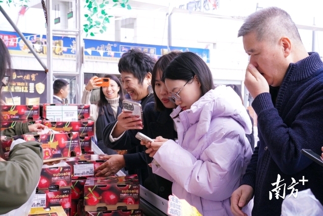 南沙何以成為車?yán)遄舆M(jìn)口第一大口岸？