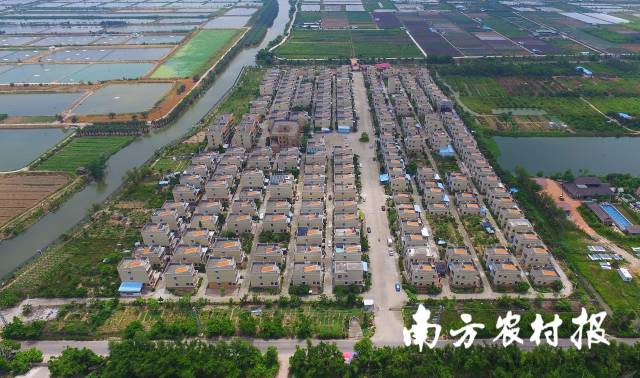 移风易俗行动在广东乡村普遍展开。图为珠海斗门新马墩村。