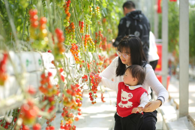 一站式实现田园梦！大鹏新晋网红打卡地，大年初一亮相