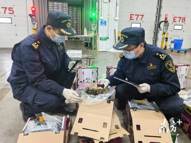 東莞體育中考安排出爐 兩類考生免考積分方式有調(diào)整