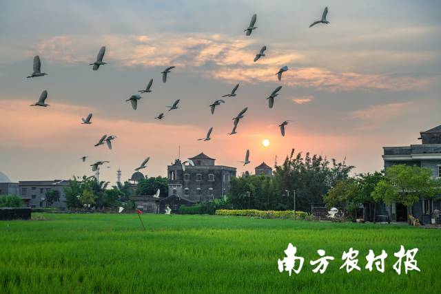 2025年，是“百千万工程”实现“三年初见成效”目标的重要节点之年，也是“十四五”收官之年，广东正筑牢全社会精神文明建设基础，推动广东农村精神文明创建五大行动落地见效。图为江门浮月村。