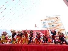 视频｜麒麟财蛇亮相月亮湾！春节来大鹏南澳“蛇”来运转