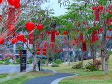 宝藏遛娃地！新春进莞来团聚就住东莞迎宾馆