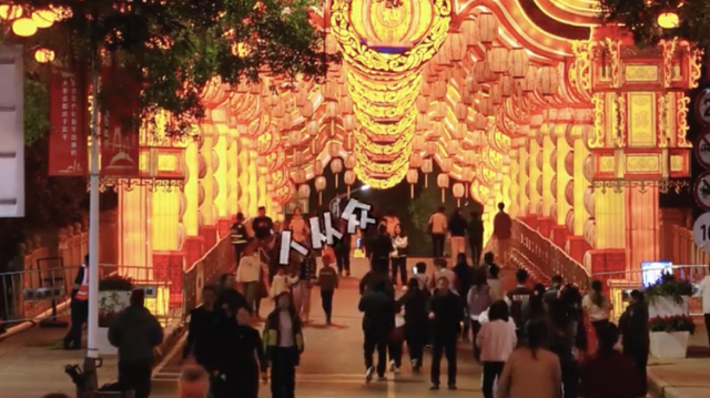 单日2.5万人！大湾区灯会开启人山人海模式