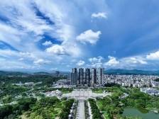 天天不重样！增城广场迎春活动热闹整个春节