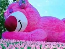 过年不愁没节目！增城蛇年春节最全“游玩攻略”来了