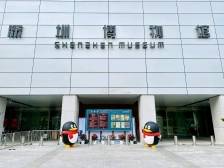 “博物馆里过大年”！深博16个展览邀您共赴文化盛宴