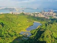 不止灯会！“来南沙”八大旅游主题任你pick