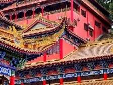 祈福、赏花、打卡落羽杉，东莞这些景点包好玩的