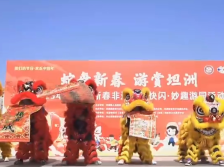 视频｜非遗演出连连看！中山坦洲举办新春非遗巡游快闪