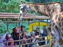 大年初一迎来奥运冠军助阵，游广东抽大奖花落谁家？