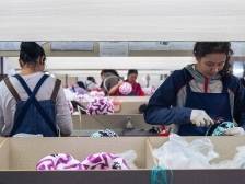 新春走基层 | 奋进“百千万”，产业结新果